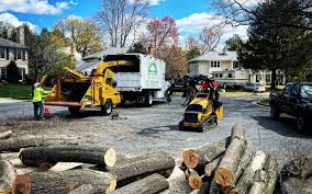 Best Tree and Shrub Care  in Baden, PA